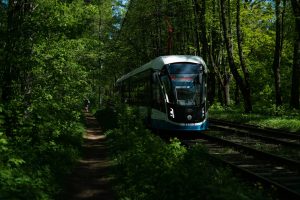 a train traveling through a lush green forest