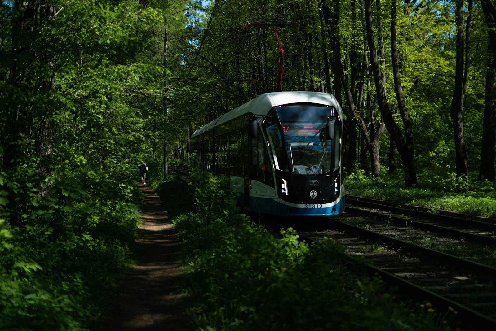 a train traveling through a lush green forest